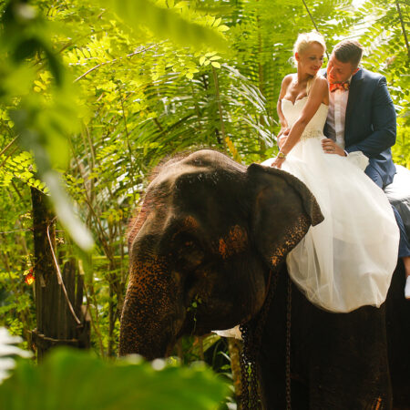 groom and bride riding on a elephant