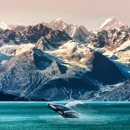 Alaska whale watching boat excursion. Inside passage mountain range landscape luxury travel cruise concept.