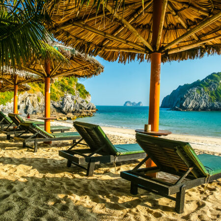Tropical resort with chaise longs arranged in a row under palms on sandy beach, rocky island seen in distance